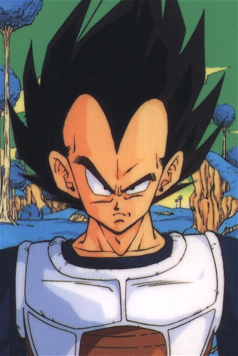 Display picture for Vegeta